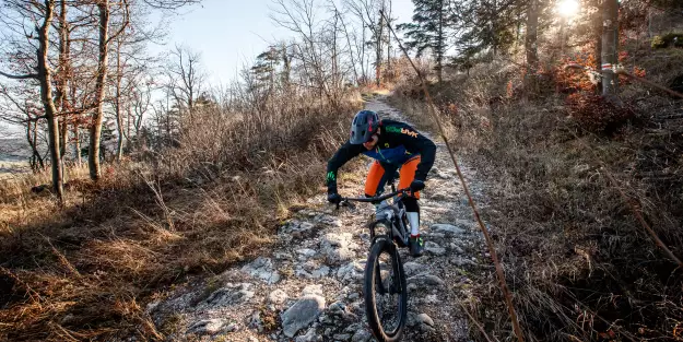 Test: Trek Remedy 2019