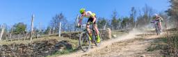 Bildbericht 28. Kamptal-Klassik-Trophy 2019