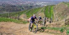 Bildbericht 28. Kamptal-Klassik-Trophy 2019