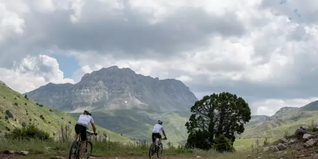 Preview: Bike Odyssey 2019