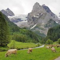 E-Biken in der Jungfrau Region