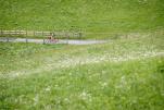Ischgl Ironbike 2019 - Individual Time Trial - Bildbericht