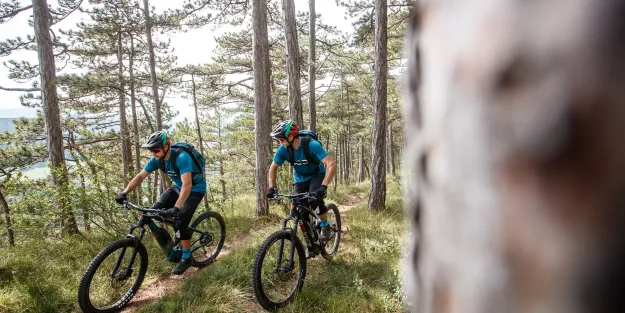 E-Hardtail vs. E-Fully