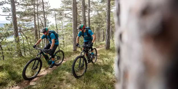 E-Hardtail vs. E-Fully