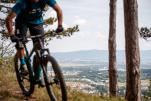 E-Hardtail vs. E-Fully