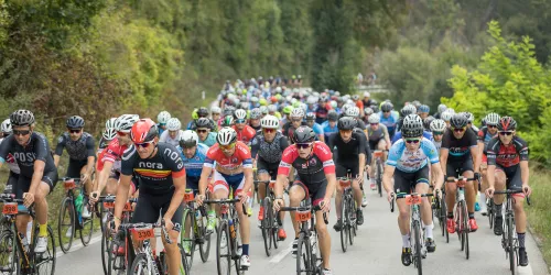 Velo/Run 2019