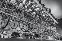 Bikers - Wien