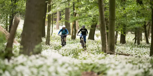 Endspurt: Streckennetz Wienerwald