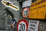 BB-Bericht 2008