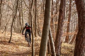 Ceramicspeed OSPW X für Sram Eagle