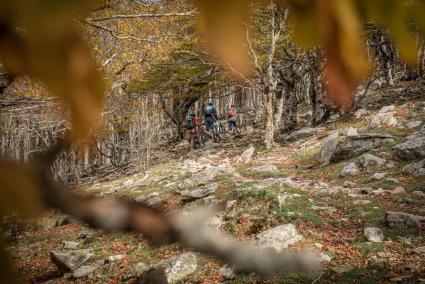 Mountainbiken in den Pyrenäen