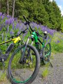 Bike Hotel Bad Kleinkirchheim - Wohlfühl- und Genusshotel Felsenhof