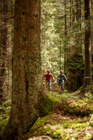 Unterwegs am Waldviertler Granittrail