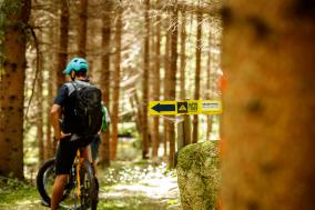 Unterwegs am Waldviertler Granittrail