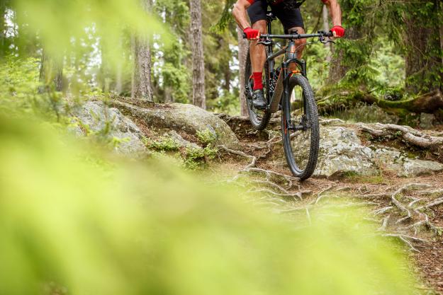 Unterwegs am Waldviertler Granittrail