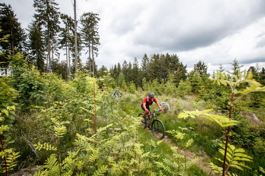 Unterwegs am Waldviertler Granittrail