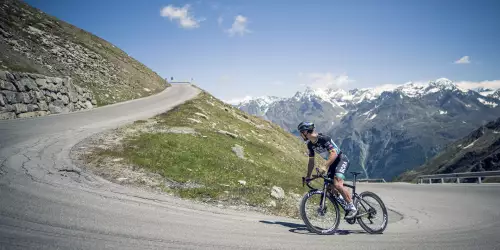 Specialized Tarmac SL7 2021