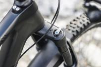 Canyon Neuron CF LTD