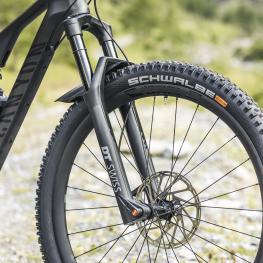 Canyon Neuron CF LTD