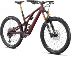 Stumpjumper EVO Pro - 7.999 Euro