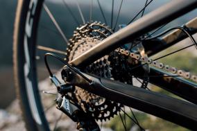 BH Lynx Race Evo 2021