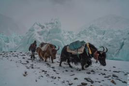 BANFF Centre Mountain Film Festival 2021
