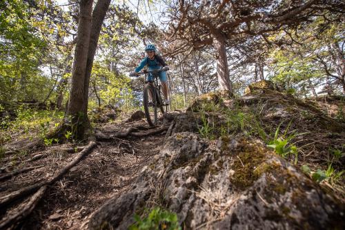 Trek E-Caliber 9.9 XTR im Test