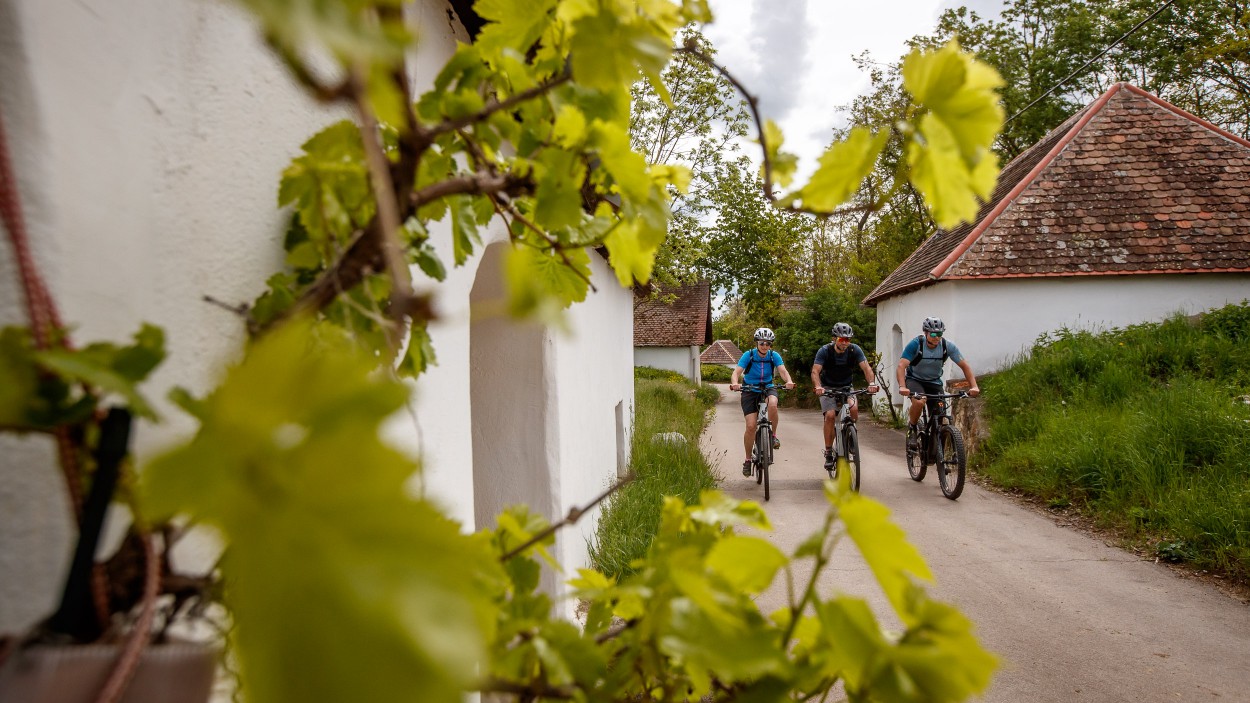 Genuss-Radtouren im Weinviertel