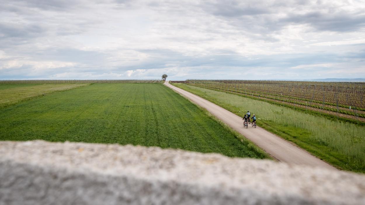Genuss-Radtouren im Weinviertel