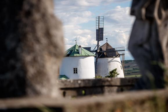 Genuss-Radtouren im Weinviertel