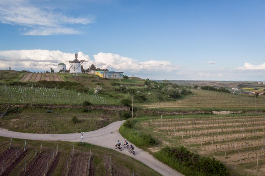 Genuss-Radtouren im Weinviertel