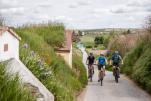 Genuss-Radtouren im Weinviertel