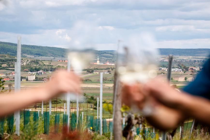 Genuss-Radtouren im Weinviertel