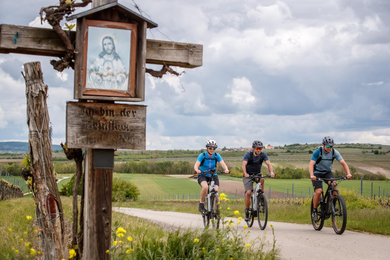 Genuss-Radtouren im Weinviertel