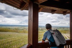 Genuss-Radtouren im Weinviertel