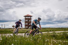 Genuss-Radtouren im Weinviertel