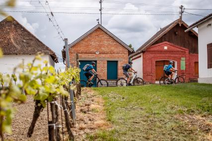 Genuss-Radtouren im Weinviertel