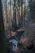 Lokalaugenschein: SchweizUNeben Trail Bruck/Mur