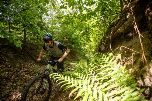 Focus Jam & Thron im Test