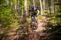 Focus Jam & Thron im Test