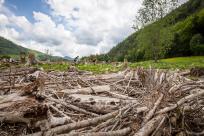 Gravelbiken am Fuschlsee