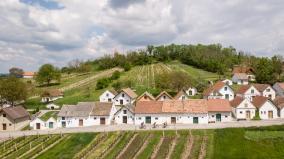 RENNRADFAHREN IM WEINVIERTEL