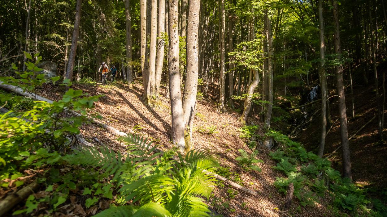 Nockbiken vom Berg zum See