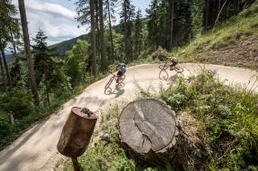 Klopeiner See und Südkärnten - Trails, Bikepark Petzen und Touren