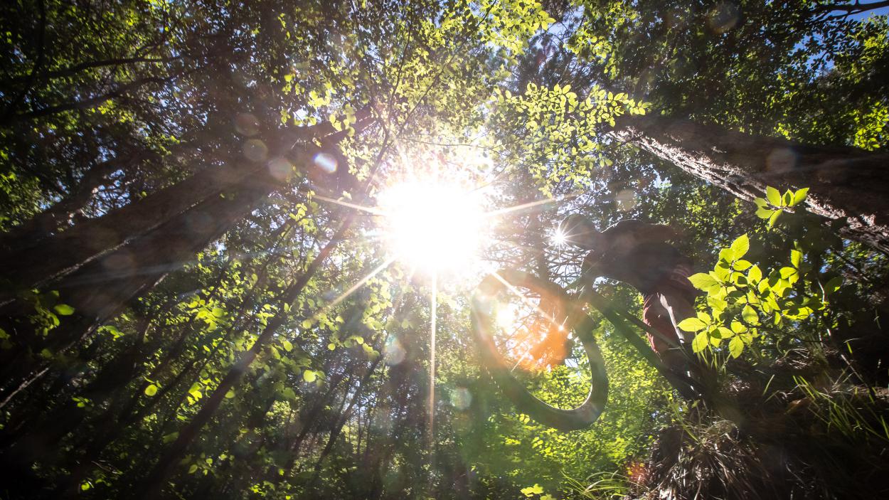 Merida Big.Trail 600: Update mit Upgrades