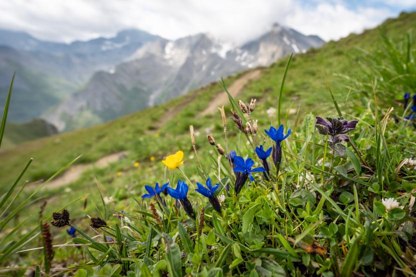 Ischgl Ironbike 2021 - Marathon Bildbericht