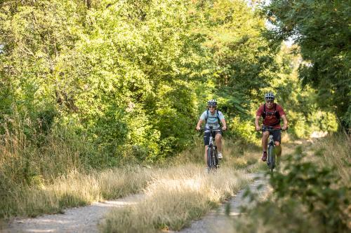 Der Marchfeldkanal-Radweg