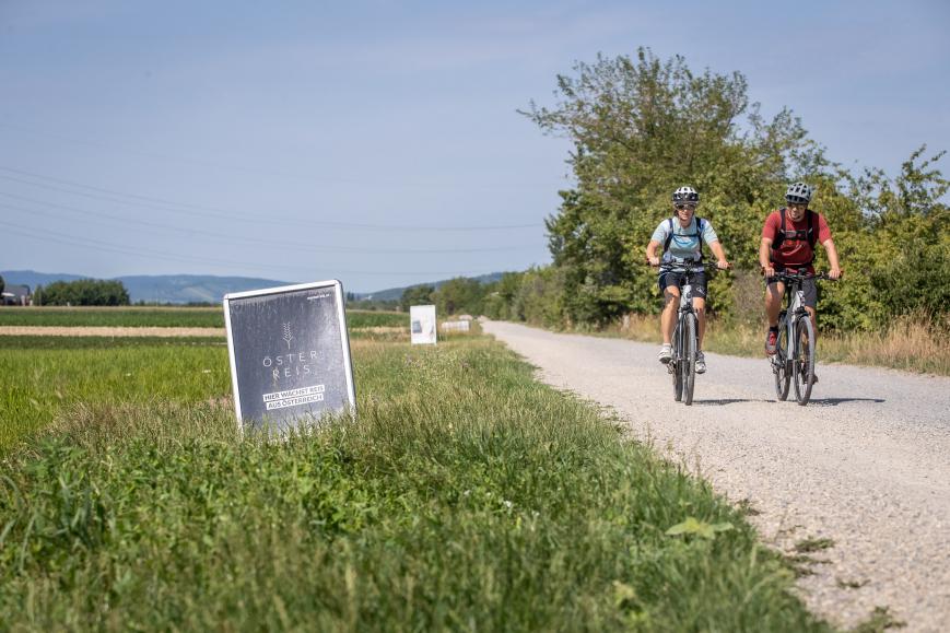 Der Marchfeldkanal-Radweg