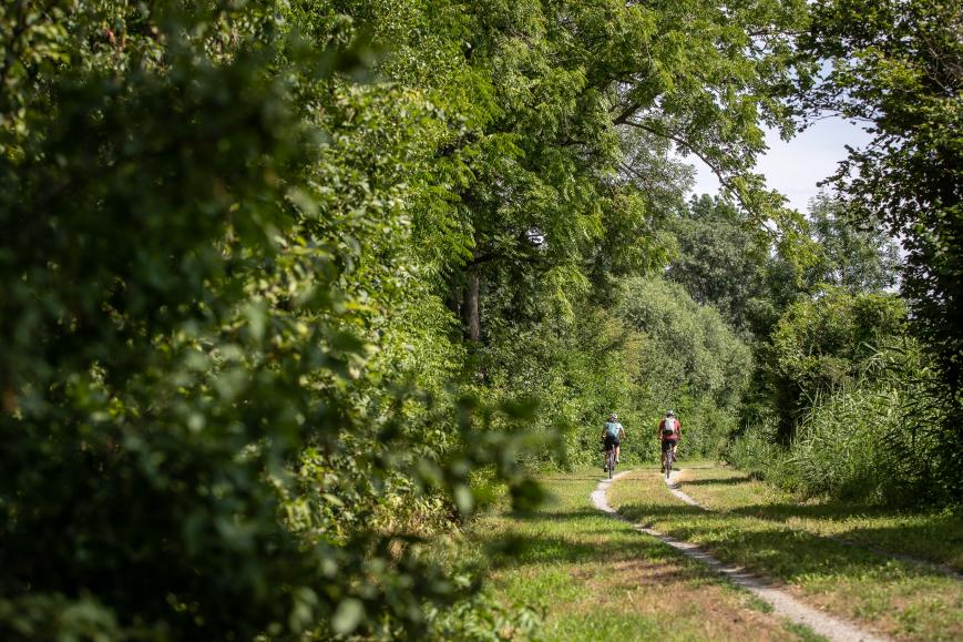 Der Marchfeldkanal-Radweg
