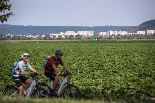 Der Marchfeldkanal-Radweg